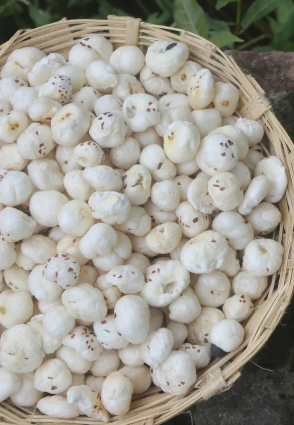 Swadebharat Premium Makhana (Foxnuts) 200gm | Jumbo Handpicked Lotus Seeds | High Protein, Gluten-Free, No Preservatives | Healthy Snack for All Ages - Image 3